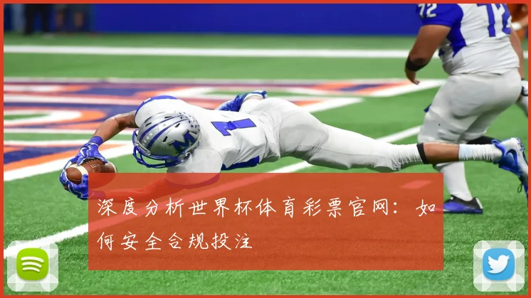 深度分析世界杯体育彩票官网：如何安全合规投注