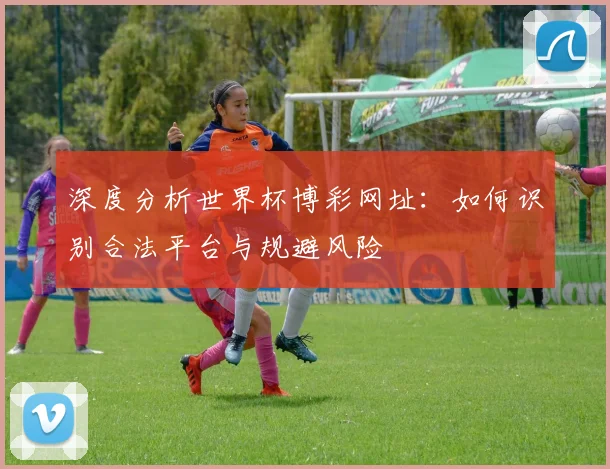 深度分析世界杯博彩网址：如何识别合法平台与规避风险