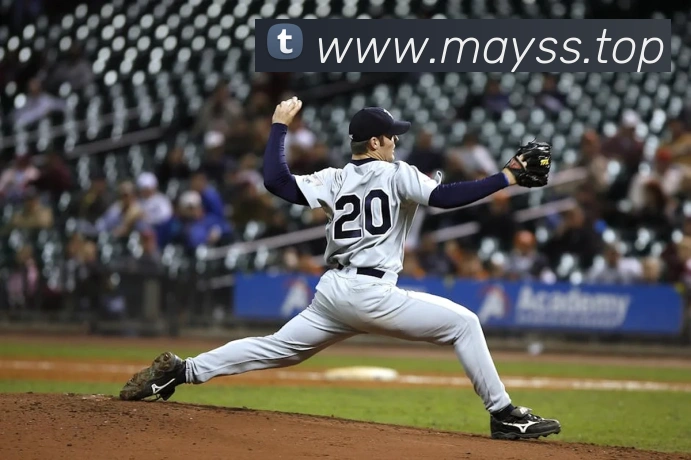 欧宝网平台生态图